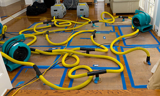 Professional Crawl Space Water Removal technician working in Botkins, OH